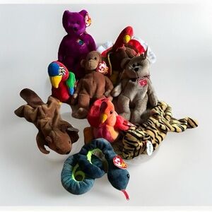 Ty Beanie Babies Collection (10)
